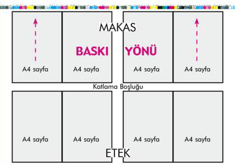 Ofset Baskıda Etek, Makas ve Poza Nedir? | Teknik Terimlerin Anlamı ve Önemi