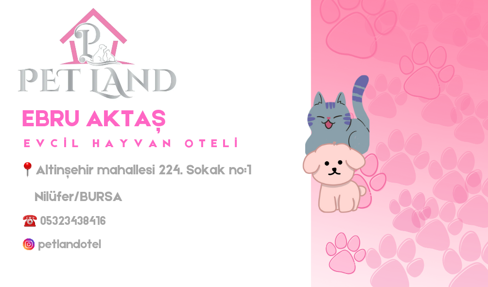 Ucuz Standart Kartvizit BURSA OSB